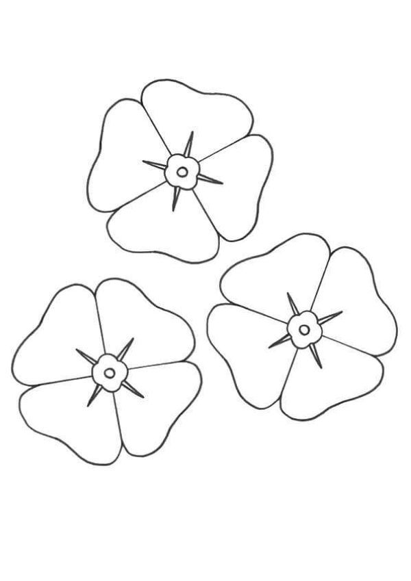 Printable poppy coloring pages pdf