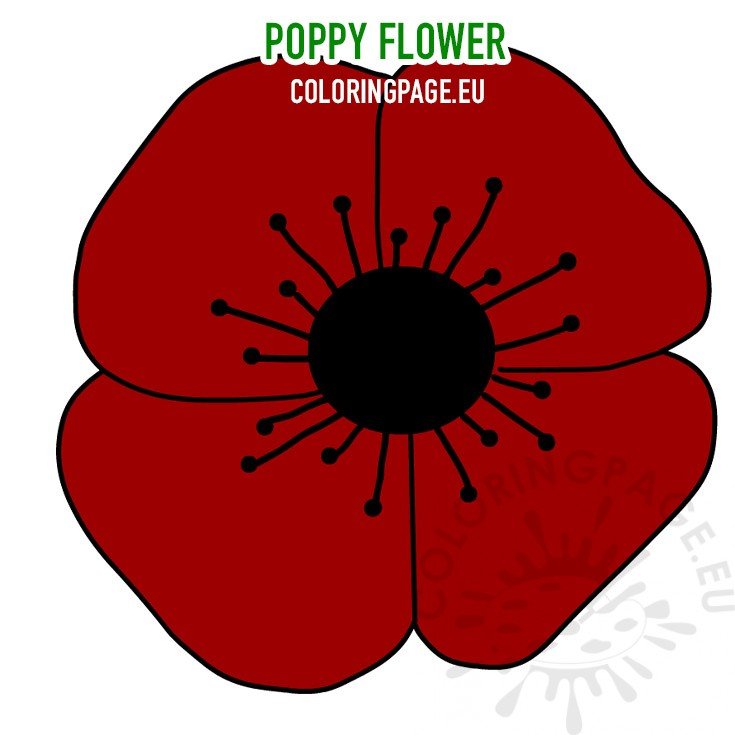 Red poppy flower pdf coloring page