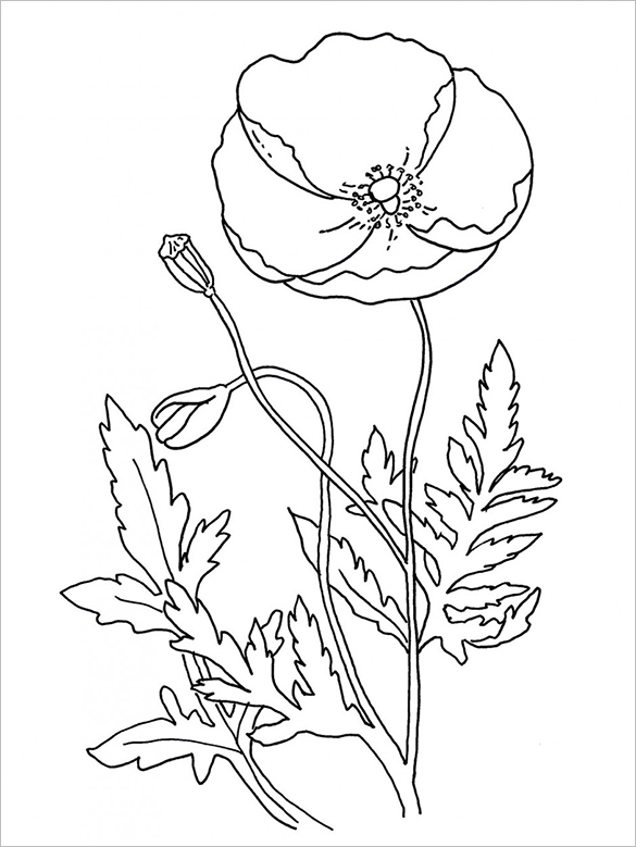 Poppy coloring pages