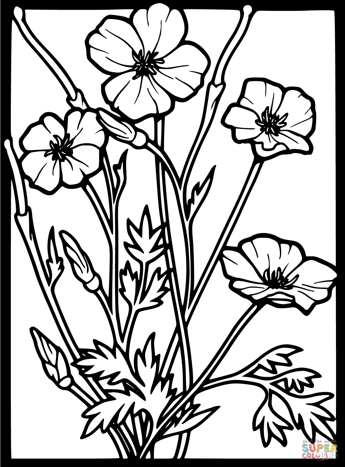 Poppy coloring page free printable coloring pages