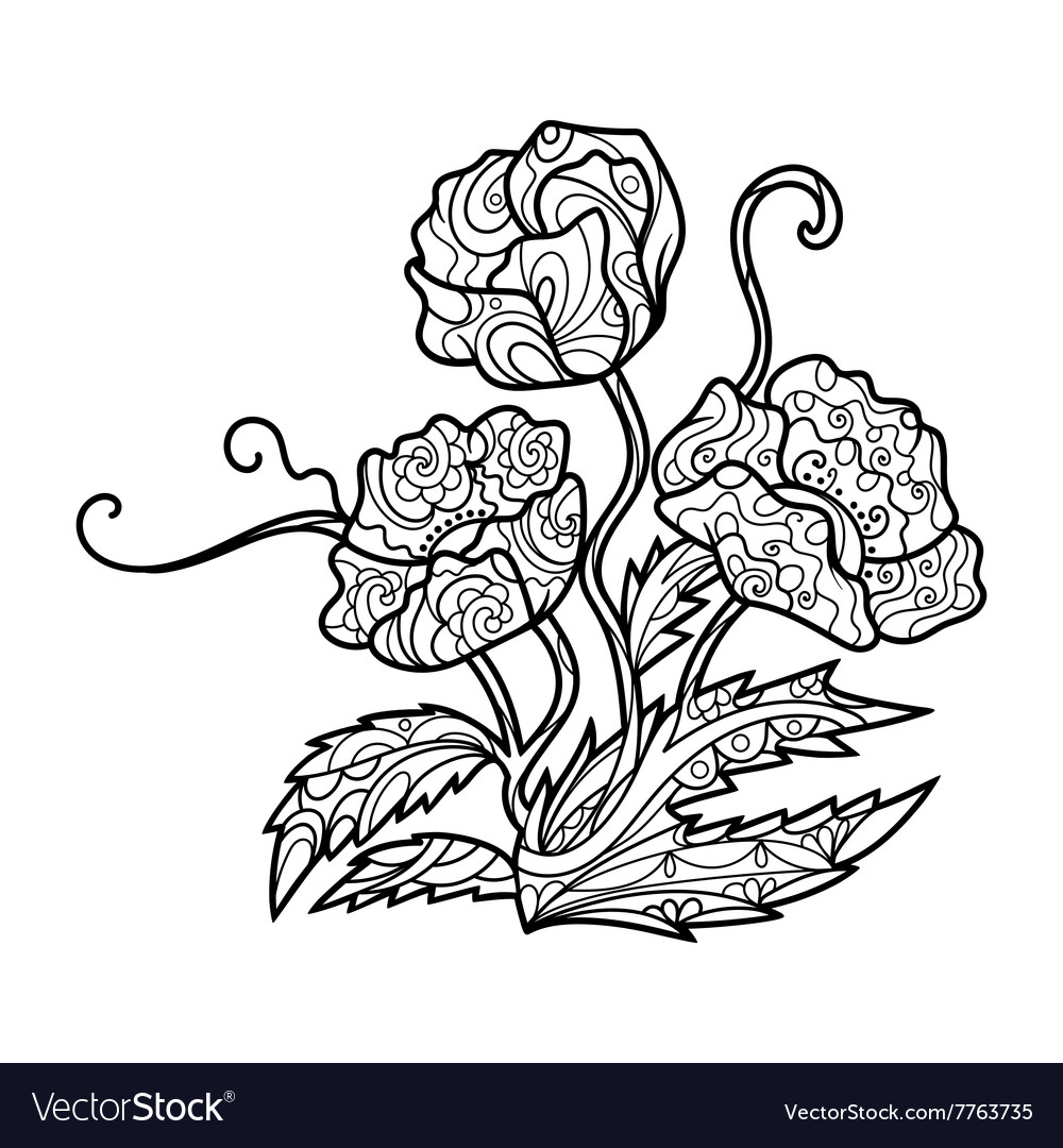 Poppy flower coloring book for adults royalty free vector