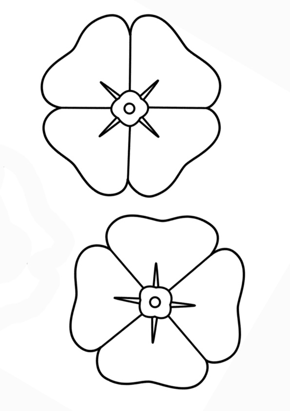 Coloring pages printable poppy flower coloring pages