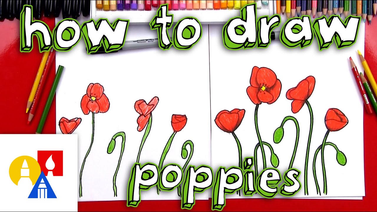 How to draw poppies