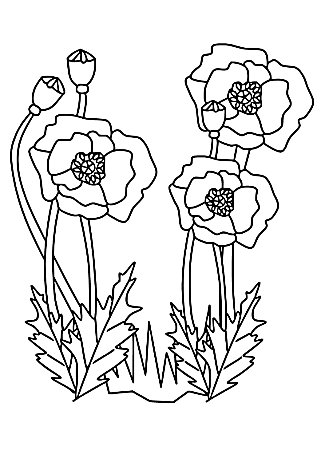 Free printable veterans day poppy coloring page sheet and picture for adults and kids girls and boys