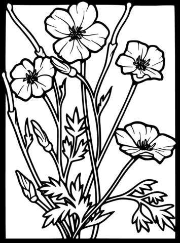 Stained glass poppy coloring page free printable coloring pages