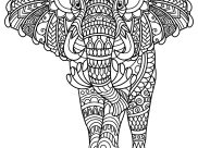 Coloring pages for kids