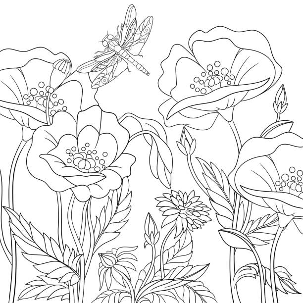 Adult coloring pages spring stock photos pictures royalty