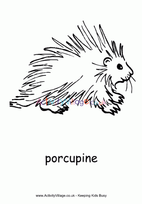 Porcupine louring page