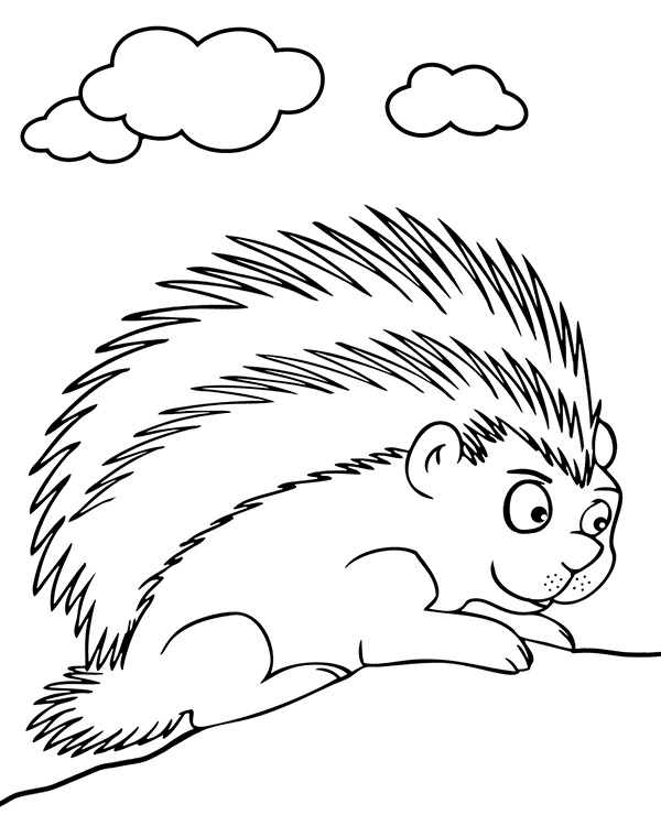 Printable porcupine coloring page