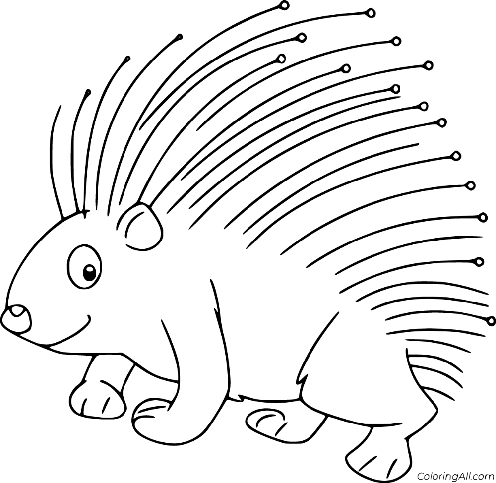 Free printable porcupine coloring pages easy to print from any device and automatically fit any paper size coloring pages porcupine felt patterns