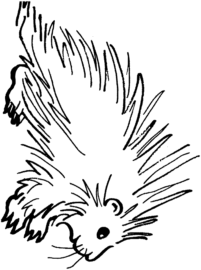 Porcupine coloring page