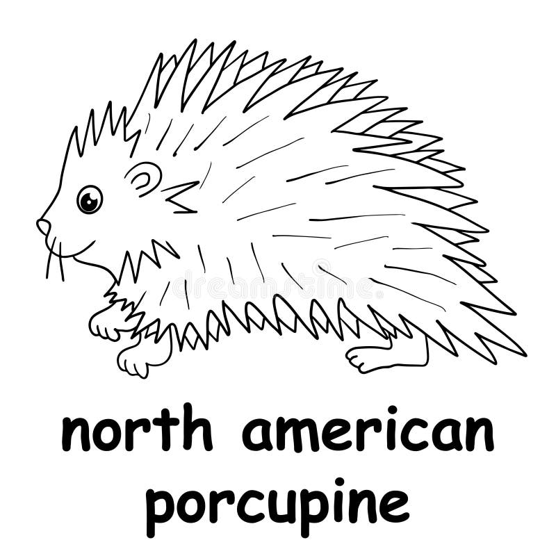 Coloring porcupine for kids simple vector illustration stock vector