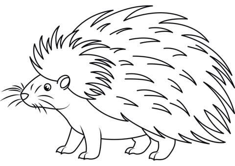 Porcupines coloring pages free coloring pages