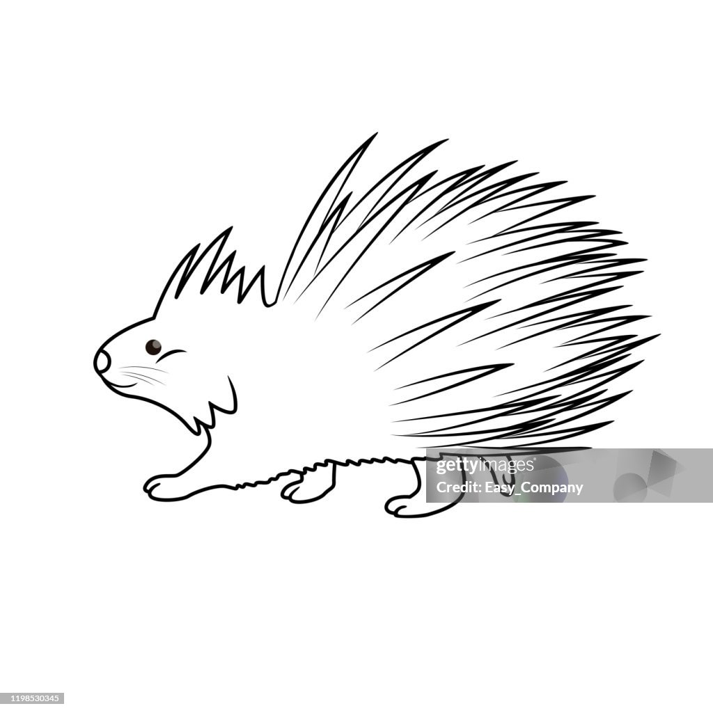 Vector illustration of porcupine isolated on white background for kids coloring book high
