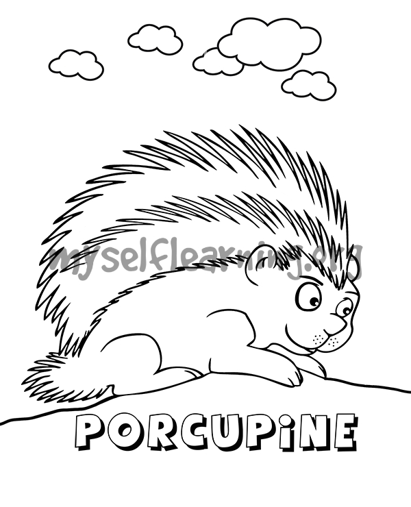 Porcupine coloring sheet instant download