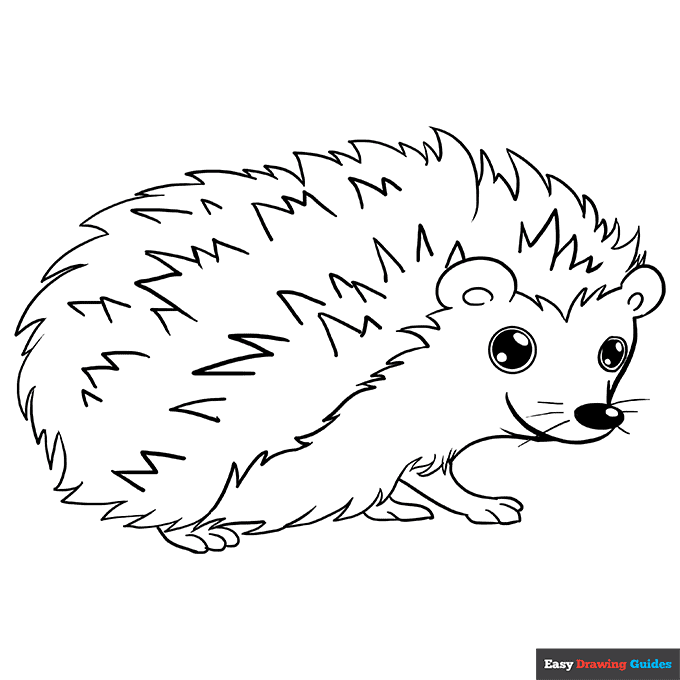 Hedgehog coloring page easy drawing guides