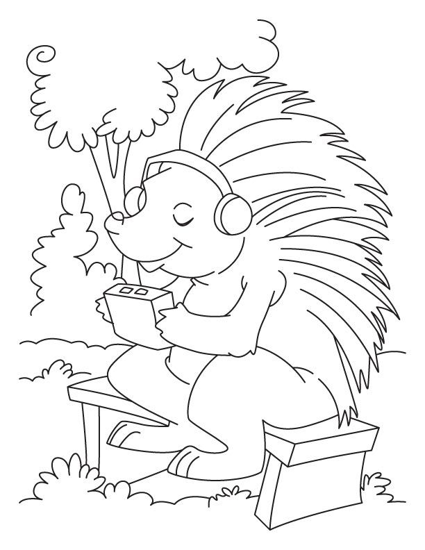 Porcupine coloring pages
