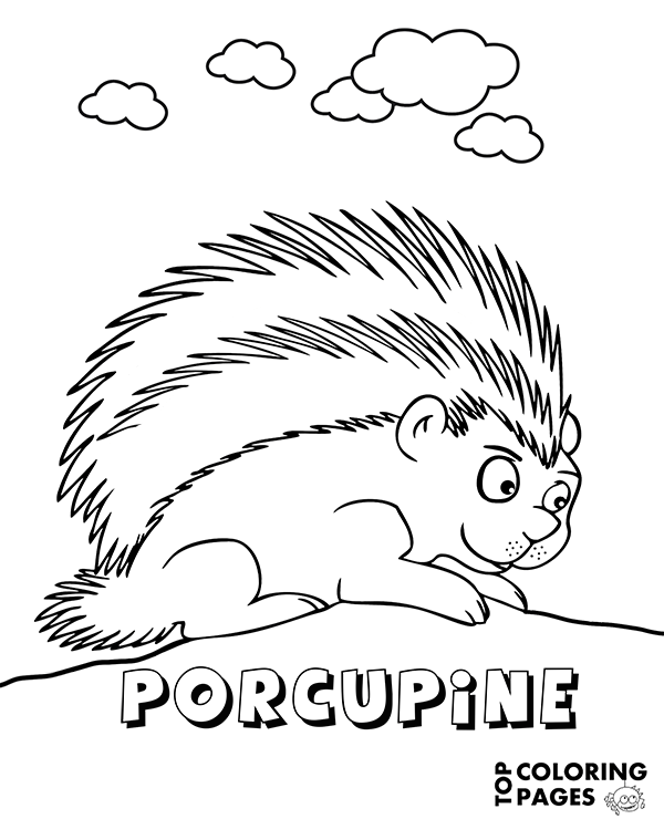 Printable porcupine coloring page animals