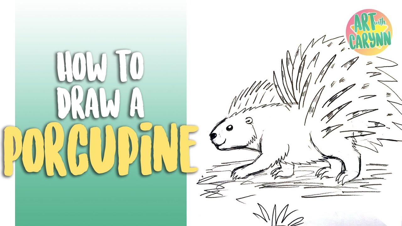 How to draw a porcupine