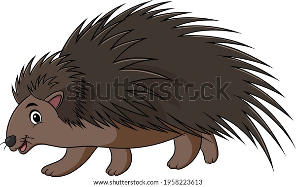 Porcupine cartoon images stock photos d objects vectors