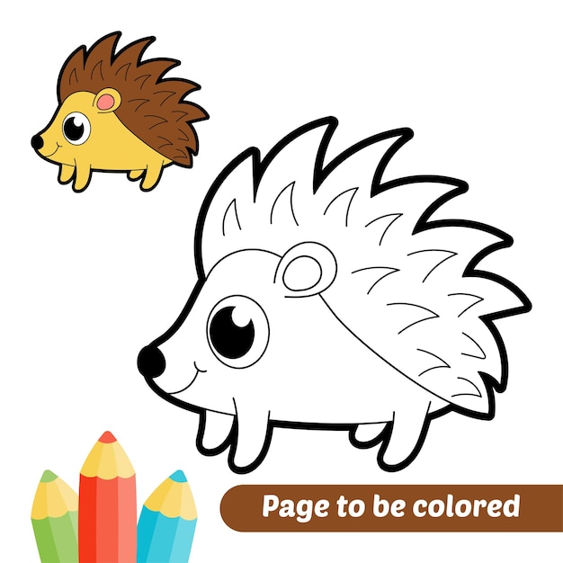 Premium vector coloring book for kids porcupine vector