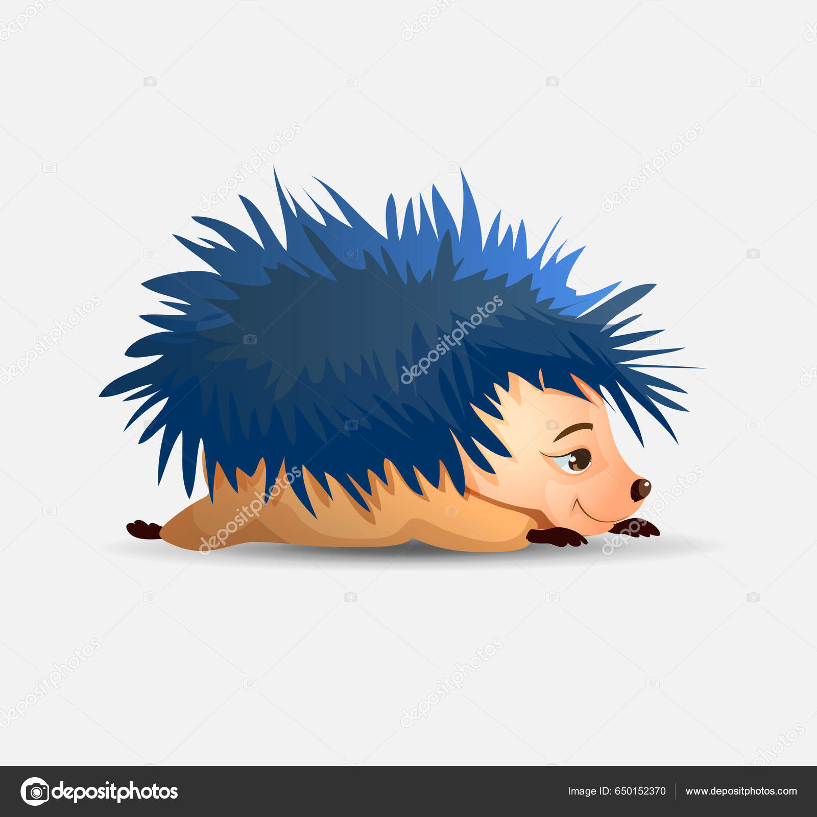 Cute hedgehog lying his stomach sleeping vector hedgehog hedgehogs vector stock vector by alexx