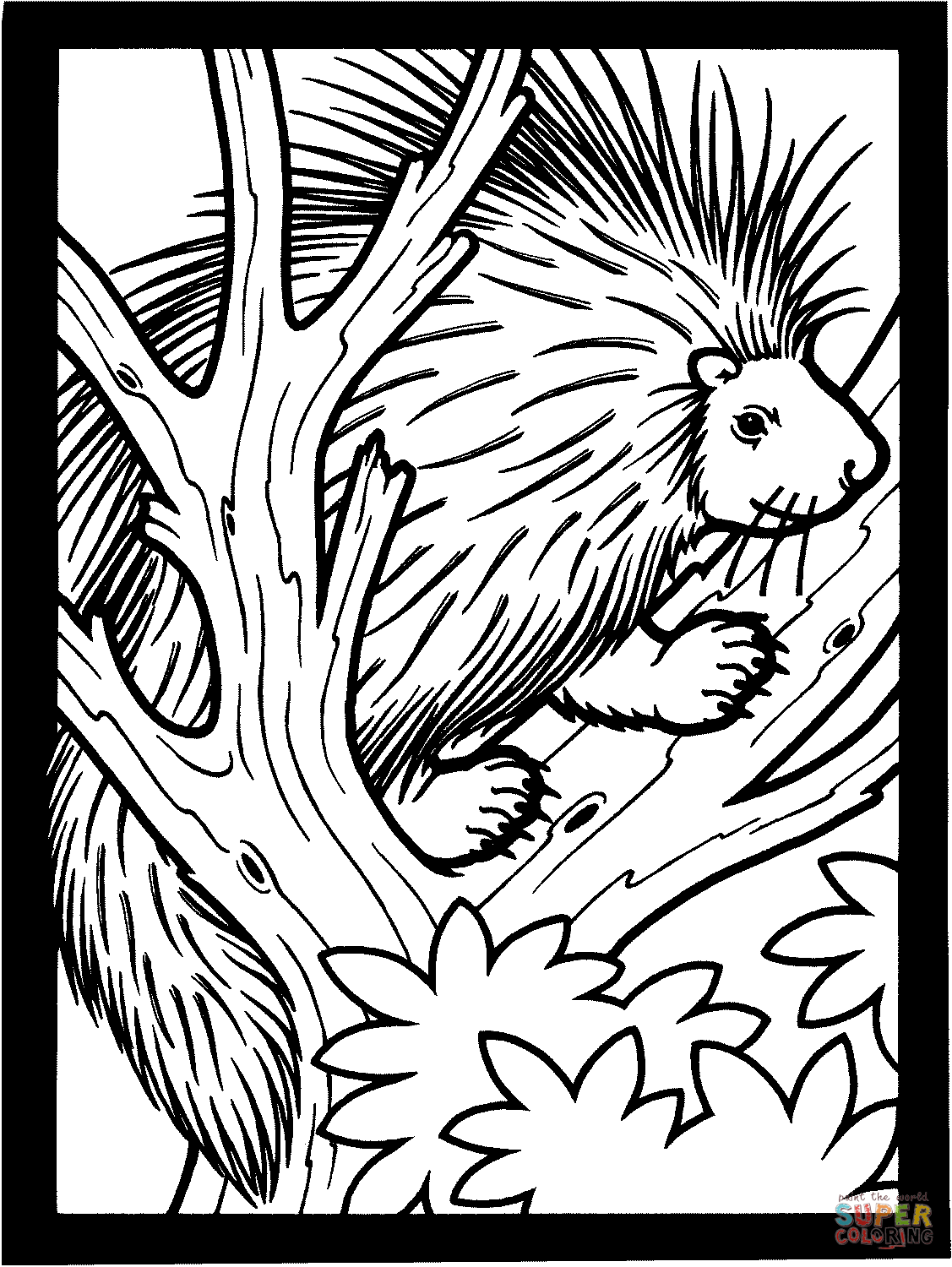 Porcupine on the tree coloring page free printable coloring pages