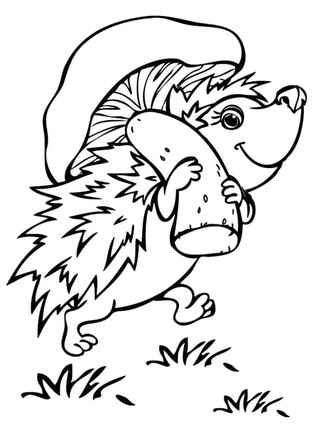 Hedgehog with a mushroom coloring page