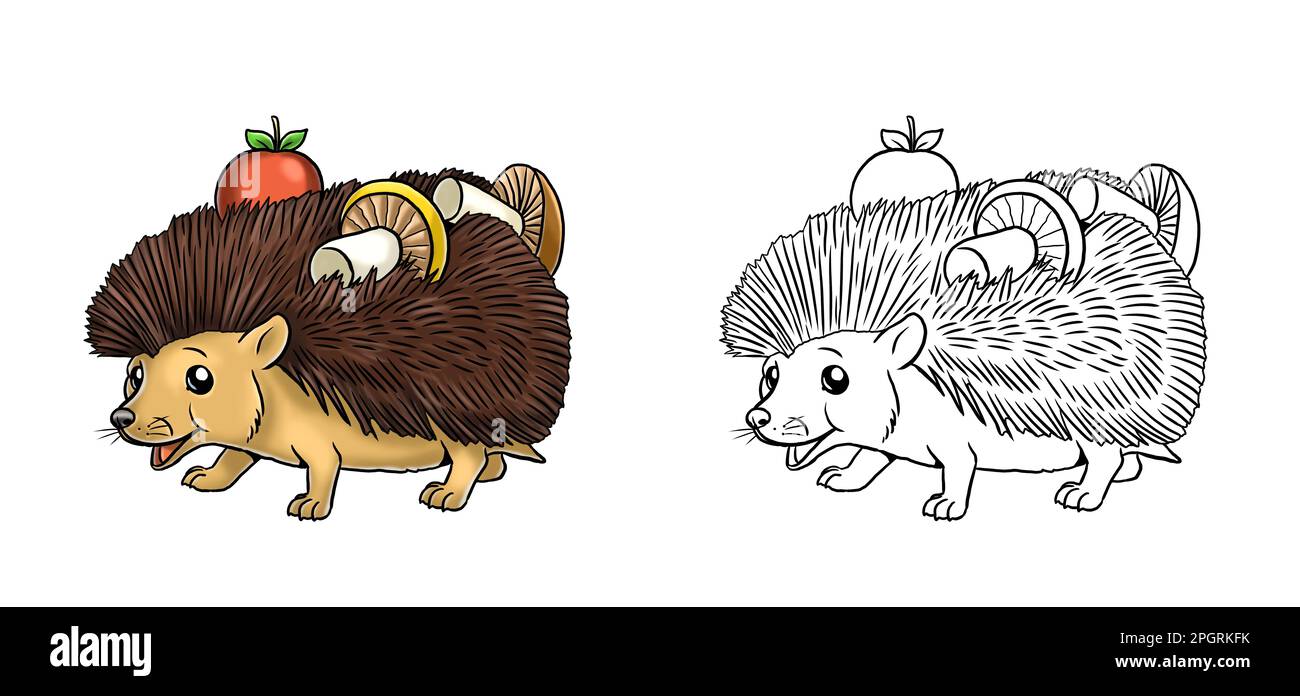 Cute baby hedgehog to color in template for a coloring book with funny animals colouring page for kids stock photo