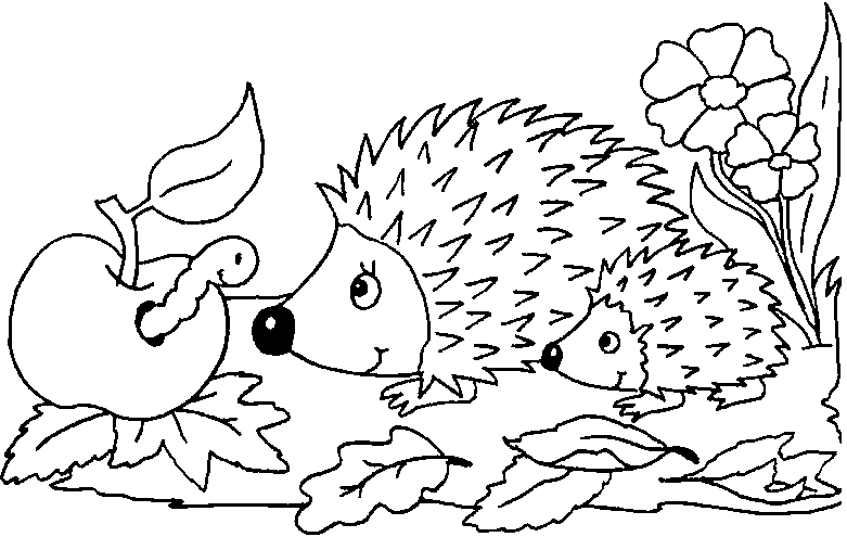 February â hedgehog day