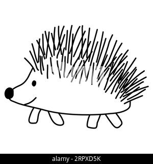 Coloring book for kids porcupine stock vector image art