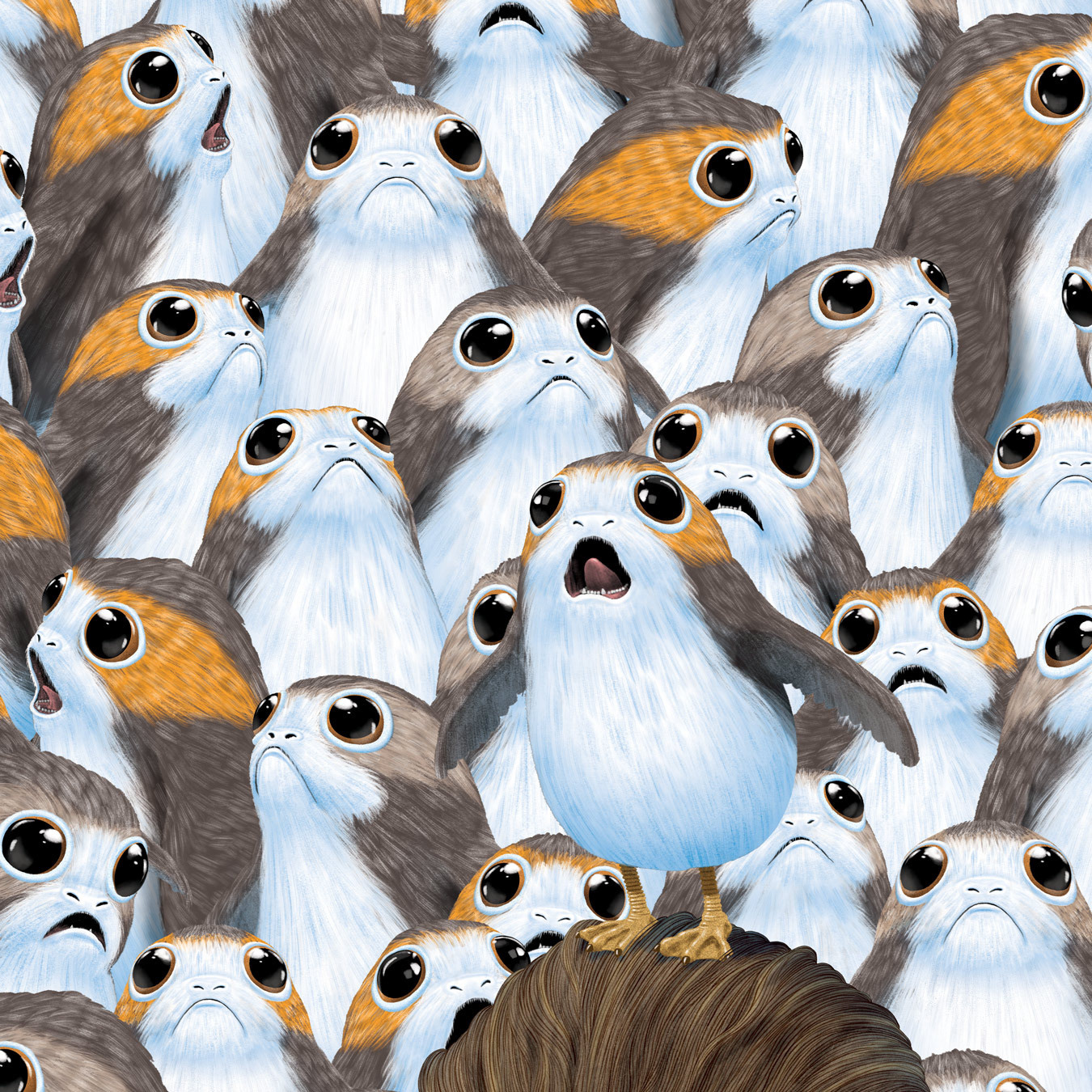 Download Free 100 + porg Wallpapers