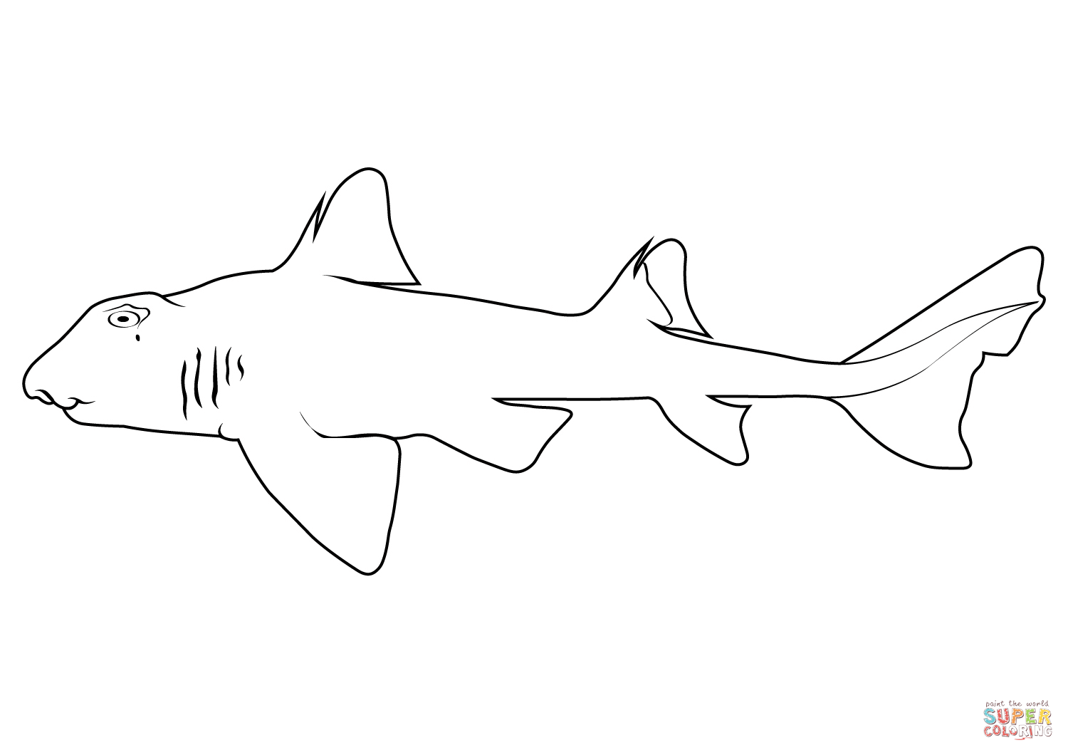 Port jackson shark heterodontus portusjacksoni coloring page free printable coloring pages