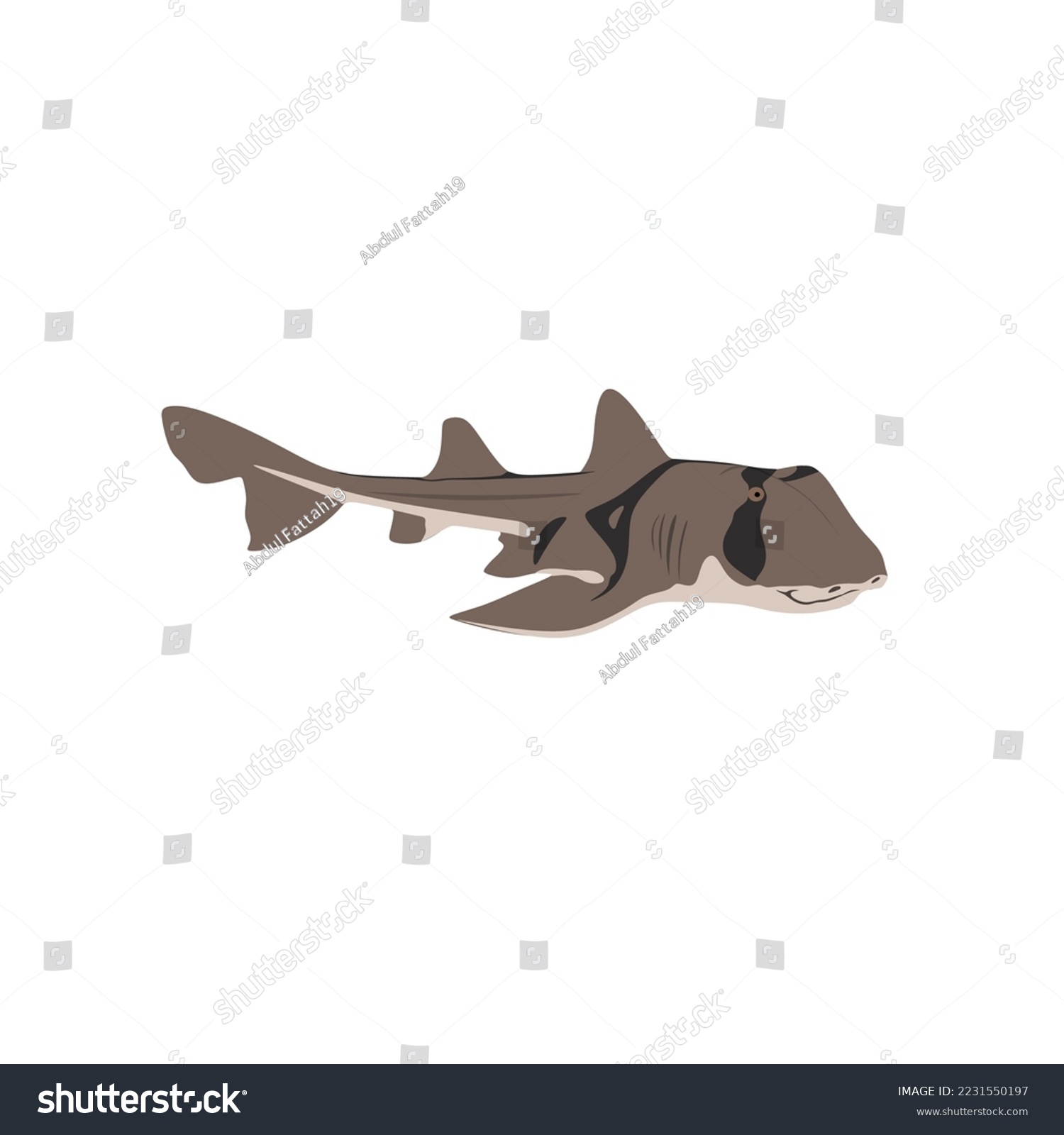 Port jackson shark over royalty