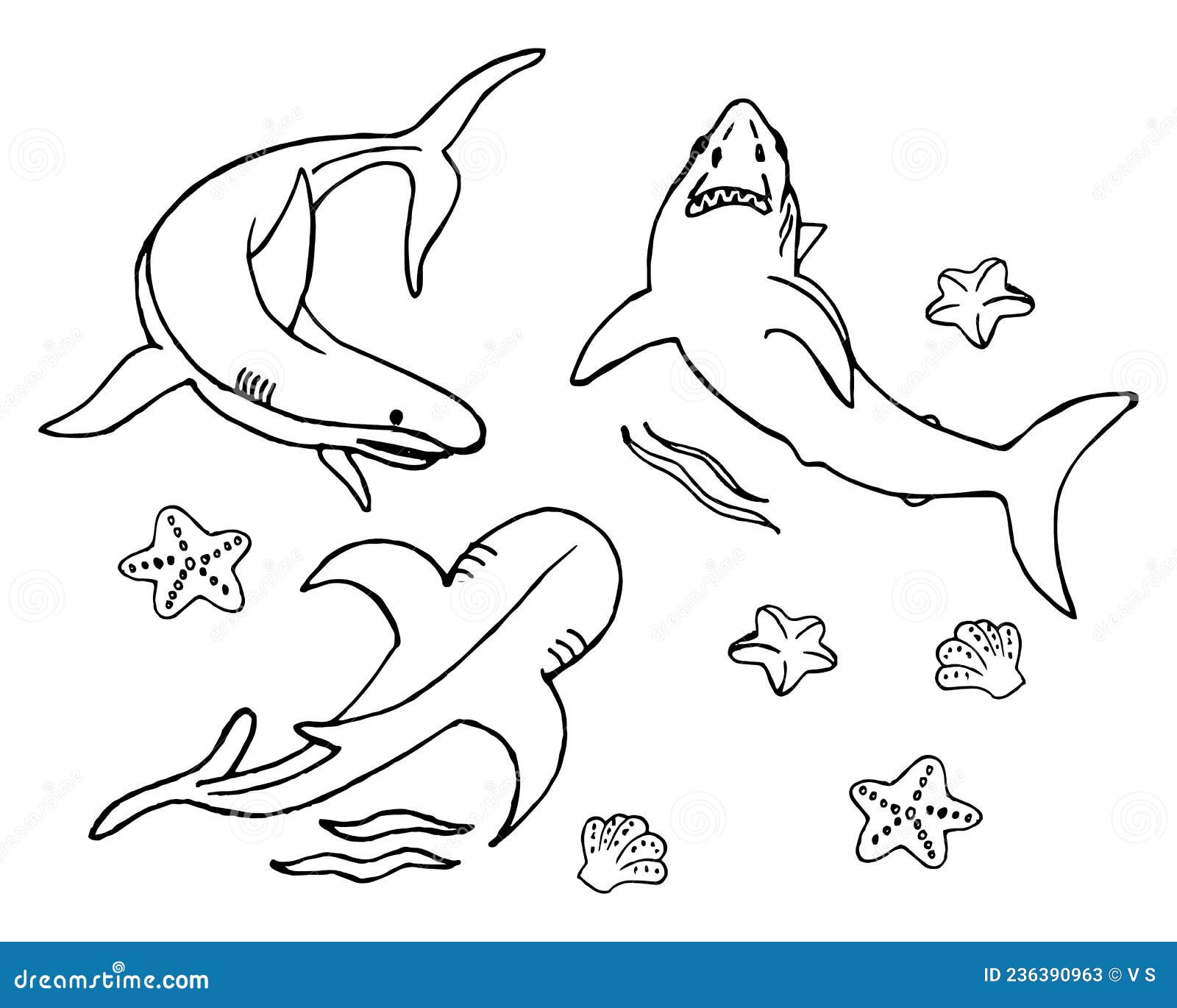 Engraved sharks stock illustrations â engraved sharks stock illustrations vectors clipart