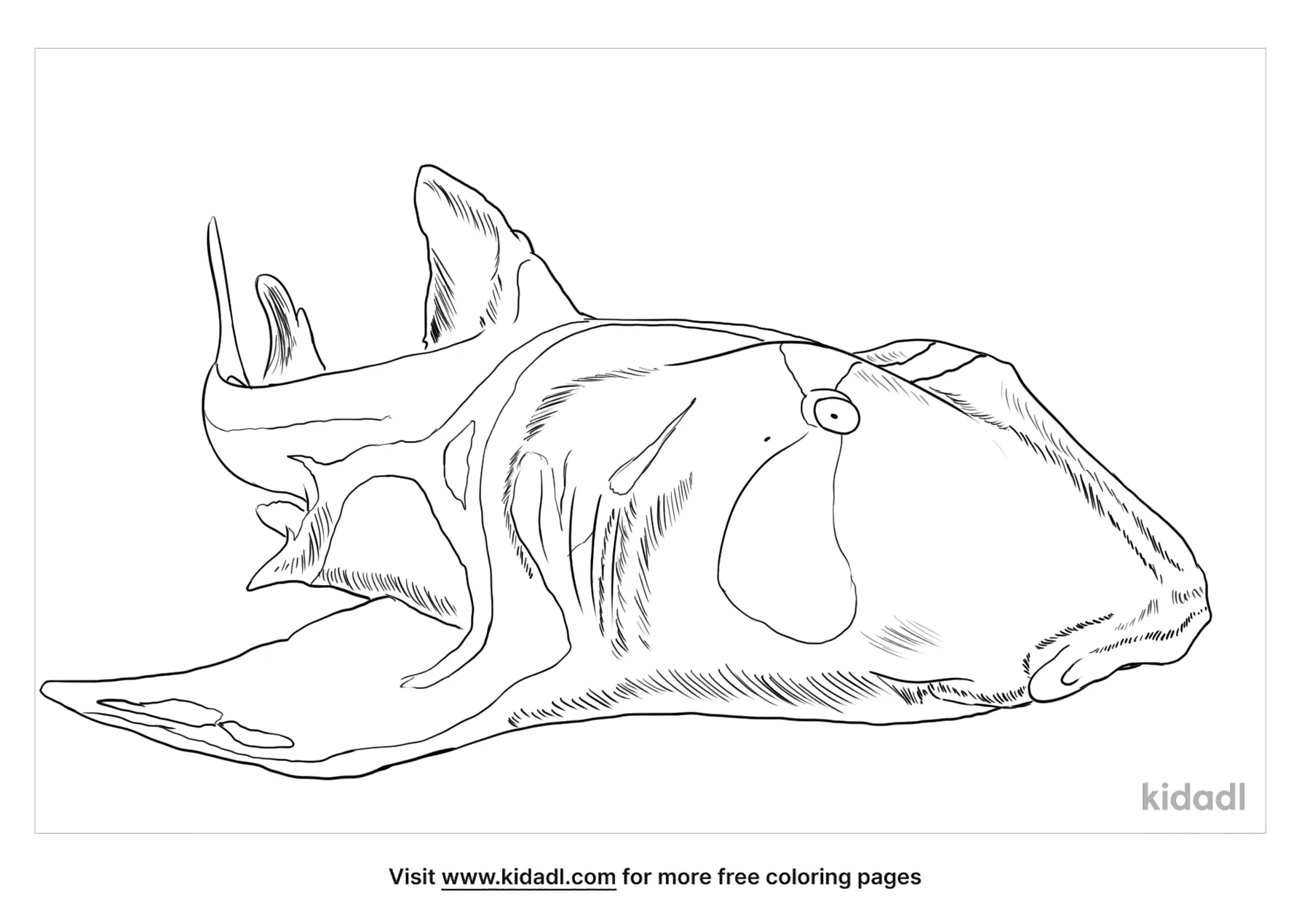 Free port jackson shark coloring page coloring page printables