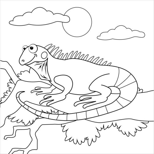 Lizardfish stock illustrations royalty