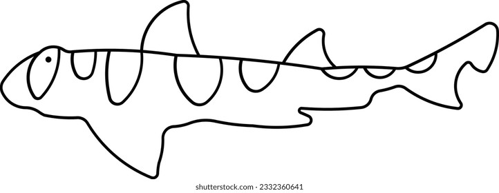 Port jackson shark images stock photos d objects vectors