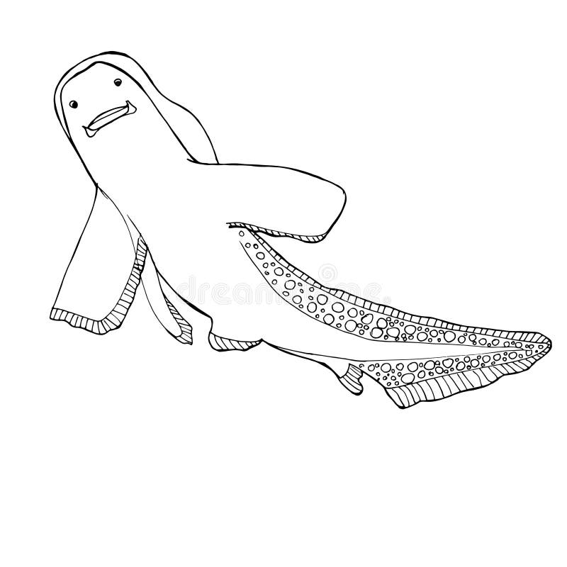 Shark drawings stock illustrations â shark drawings stock illustrations vectors clipart