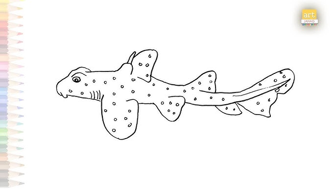 Hornsharkdrawing