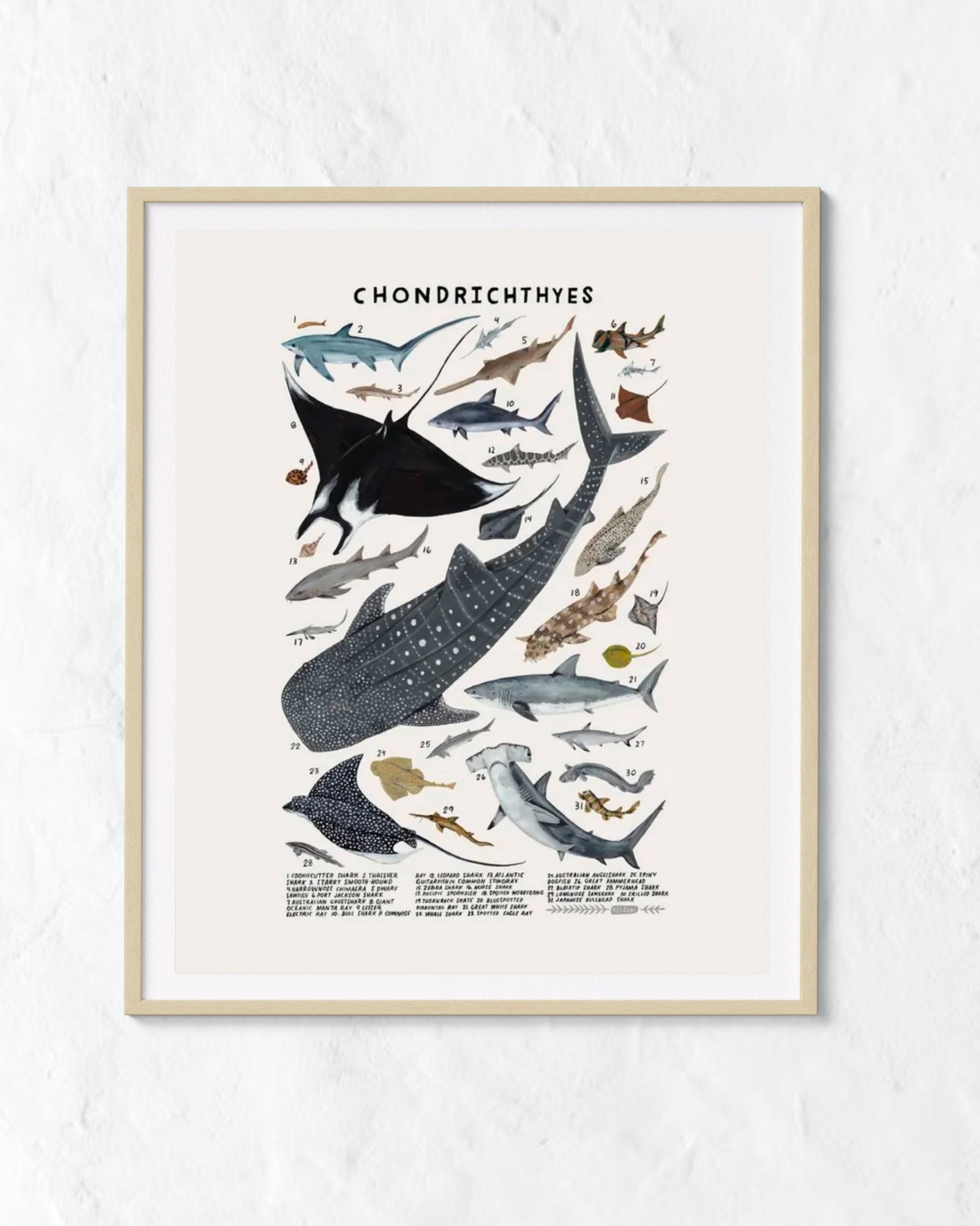 Creatures of the order sharks rays print â