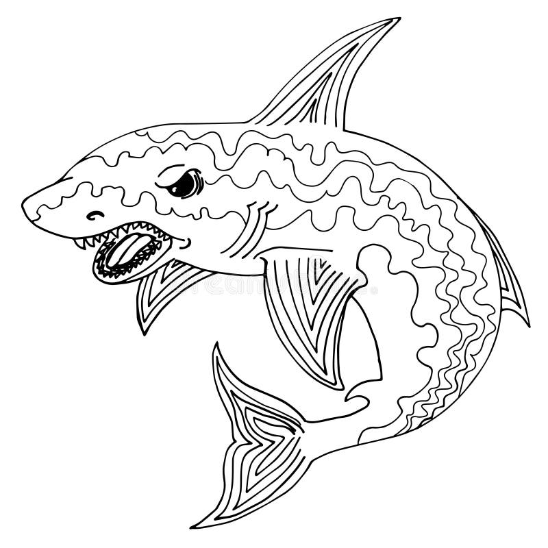 Shark drawings stock illustrations â shark drawings stock illustrations vectors clipart