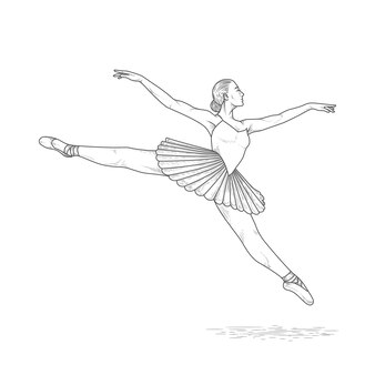 Pãgina vector e ilustracion de ballet posicion para dcargar gratis