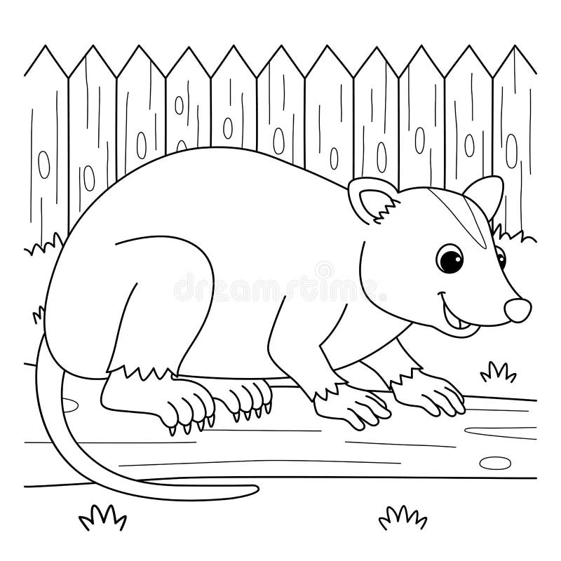 Opossum animal coloring page for kids stock vector