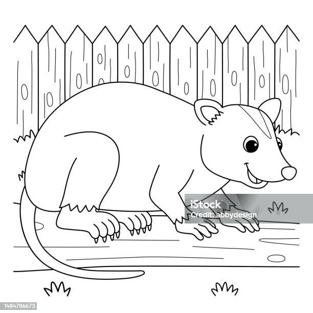 Opossum animal coloring page for kids stock illustration