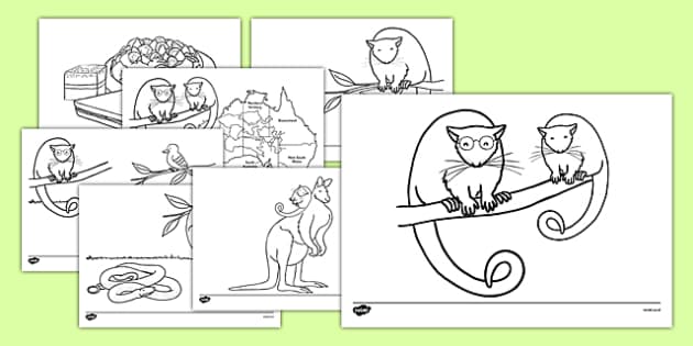 Colouring sheets to support teaching on possum magic