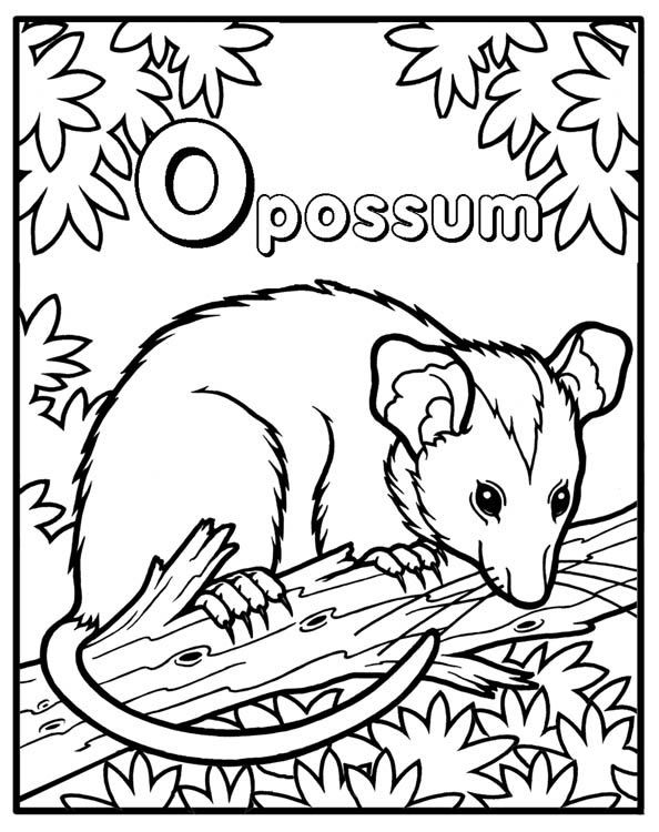 Need help with a possum cake to feed in sept baby coloring pages coloring pages possum
