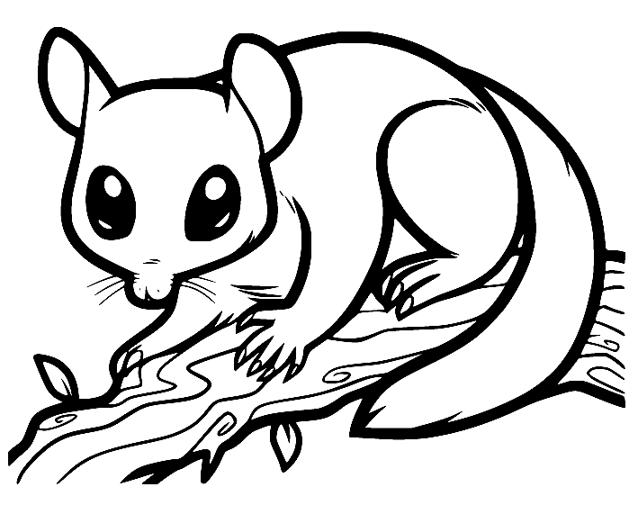 Possum coloring pages printable for free download