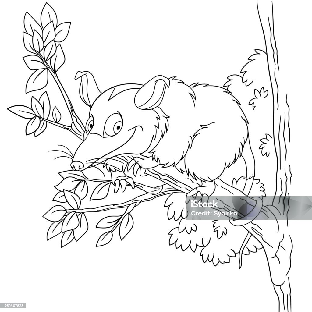 Coloring page of cartoon opossum stock illustration