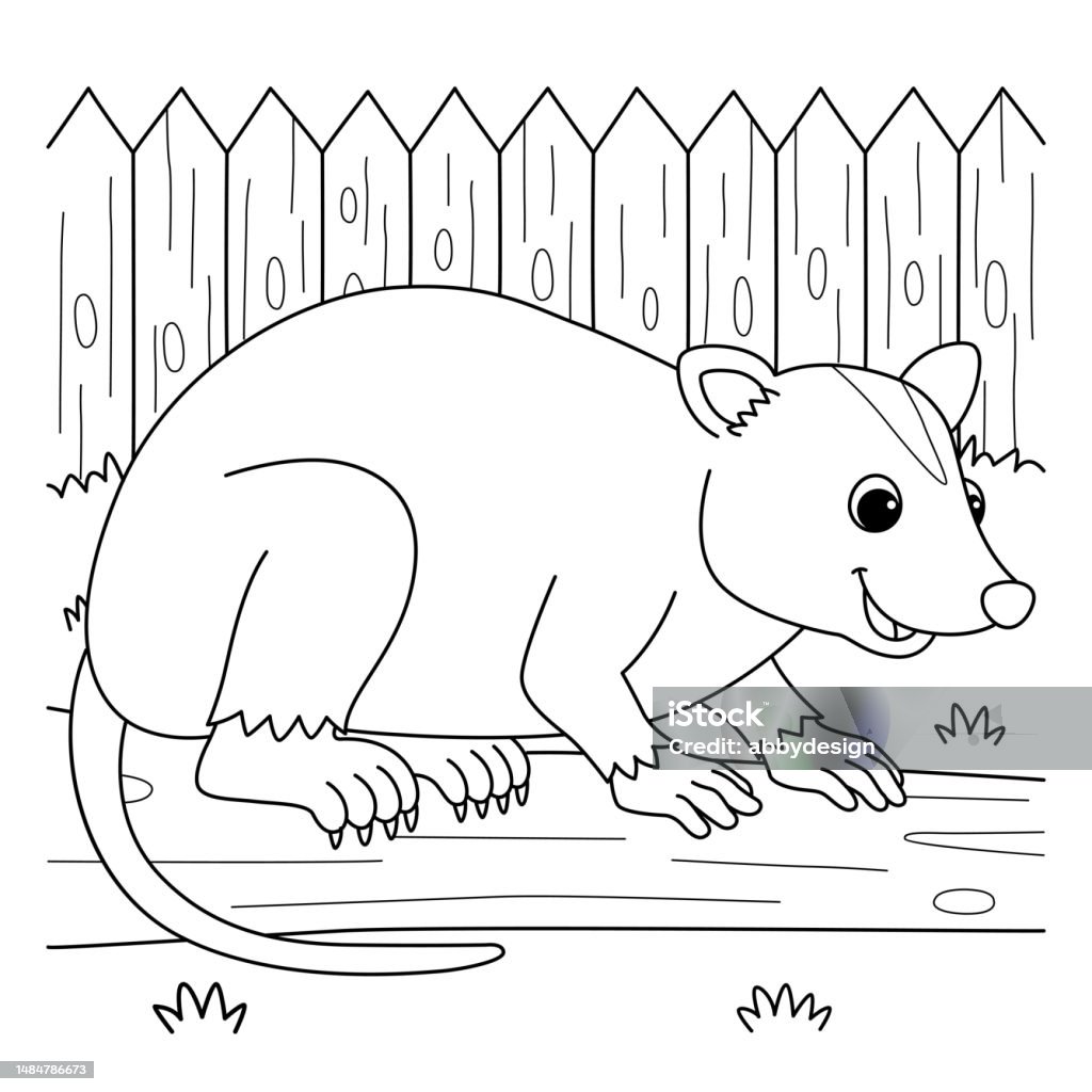 Opossum animal coloring page for kids stock illustration